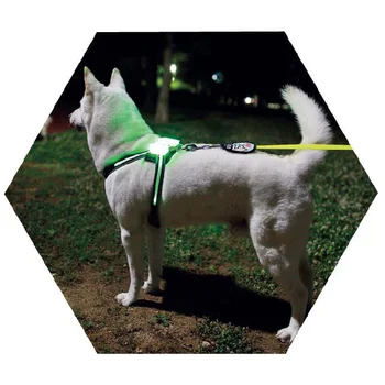 apykaklės cc simonas šuo accessoriesWholesale Nailono Saugos šunelis Diržas Diržai Švyti LED Mirksi Pavadėlio Pririšti led šuns pakinktai